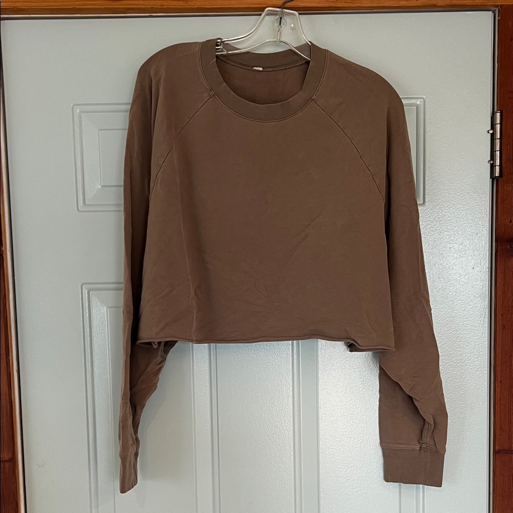 ALO Yoga Neutral Brown Cropped Sweatshirt
